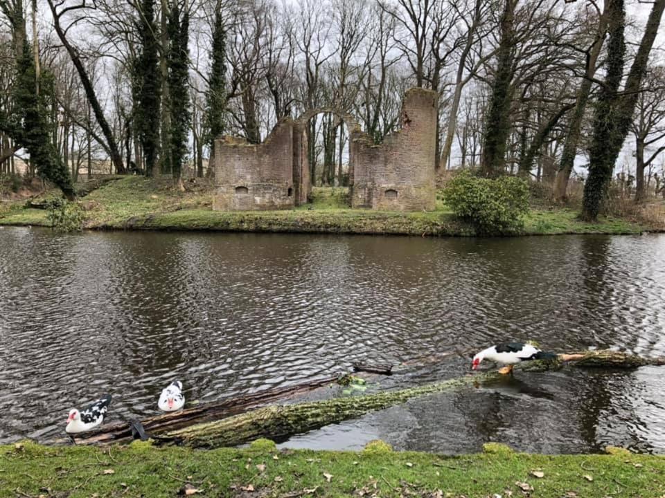 Vakantiehuisje 'T Wiede Blokzijl Eksteriør bilde